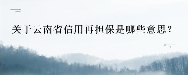 關(guān)于云南省信用再擔(dān)保是哪些意思?