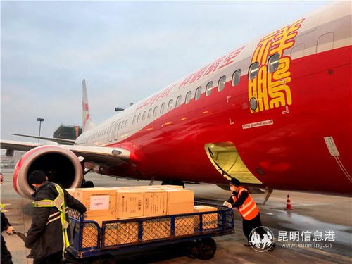 云南民航運輸部門全力保障疫情防控物資與飼料生產(chǎn)運輸