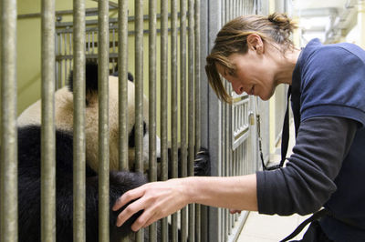 探訪法國(guó)博瓦勒動(dòng)物園大熊貓飼養(yǎng)員團(tuán)隊(duì) 守護(hù)中法友誼的動(dòng)物守護(hù)者