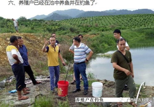 從臭氣熏天到生態(tài)和諧 廣西河池羅城現(xiàn)代生態(tài)養(yǎng)殖的成功實踐