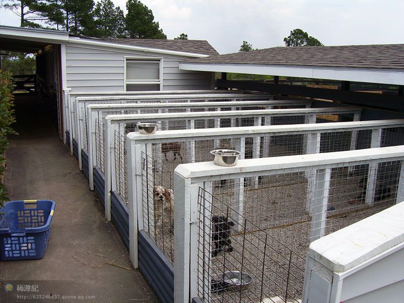 探秘頂級犬舍 藝術與科學的完美交融，顛覆你的想象